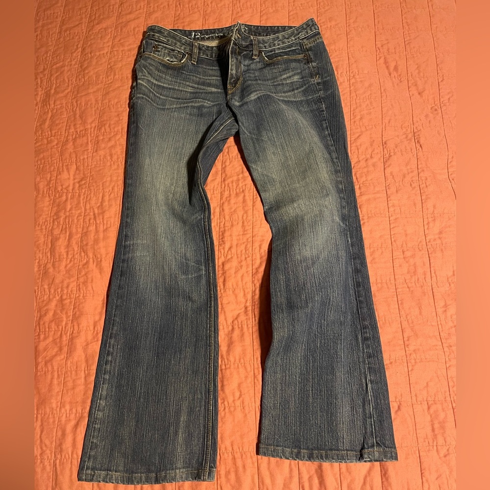LOFT Original Boot Jeans ~ 12